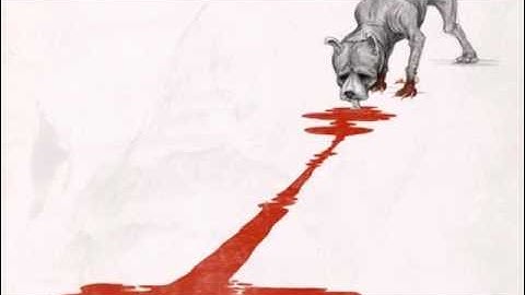 Cage -  Wildlife awaits