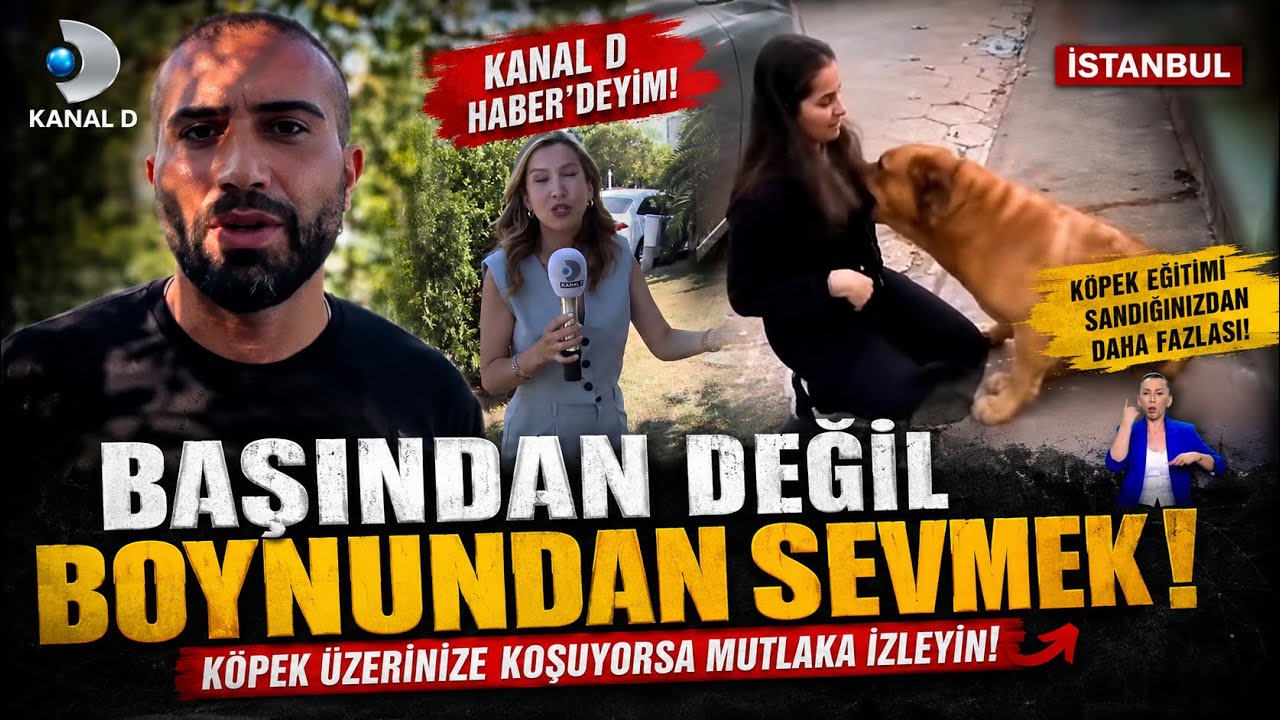 Kanal D Haber - Köpek Eğitmeni Murat Güngör