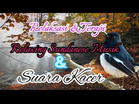 RELAXING SUNDANESE MUSIC DEGUNG GAMELAN + SUARA KACER