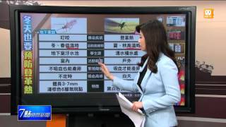 【2016.01.31】冬天蚊子仍活躍 勿輕忽登革熱 -udn tv