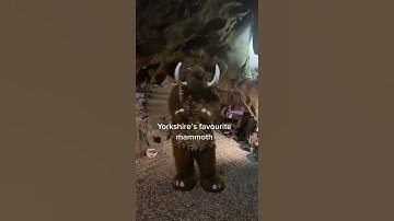 CAVEWOMAN HAS A NEW FRIEND