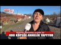 TEKÄ°RDAÄž'DA REYHAN KARAGÃ–ZLER 400 KÃ–PEÄžE ANNELÄ°K YAPIYOR