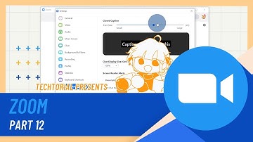 Zoom Tutorial [PART 12: Accessibility and Others]