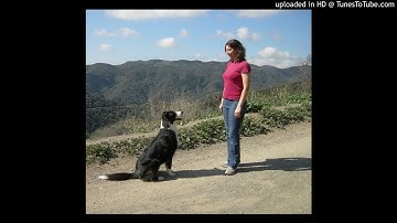 Ask Irith, Part 3: Irith Bloom, Positive Reinforcement Trainer: Reactive Dogs On-Leash