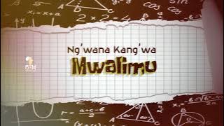 Ng'wana Kang'wa - Mwalimu( Audio)