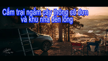 Đà Lạt - Điểm cắm trại ngắm cây thông cô đơn và khu nhà đèn lồng săn mây trên đỉnh Hòn Bồ