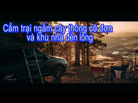 Video Đà Lạt - Điểm cắm trại ngắm cây thông cô đơn và khu... - youtube