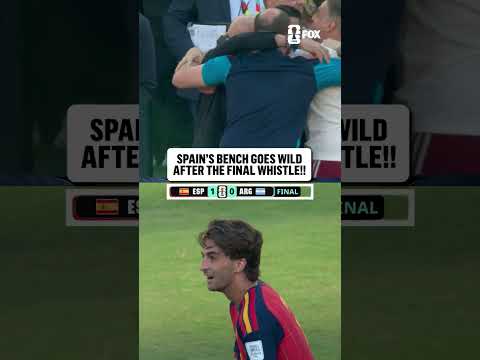 LUIS DE LA FUENTE LEADS SPAIN TO GLORY  🇪🇸