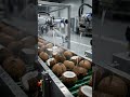 🥥 椰子水 (Yē Zi Shuǐ) – Coconut Water Factory 🏭 | Amazing Mass Production Process