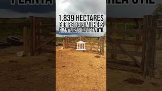 1.839 HECTARES POR R$ 13.3 MILHÕES - FAZENDA A VENDA NO MARANHÃO