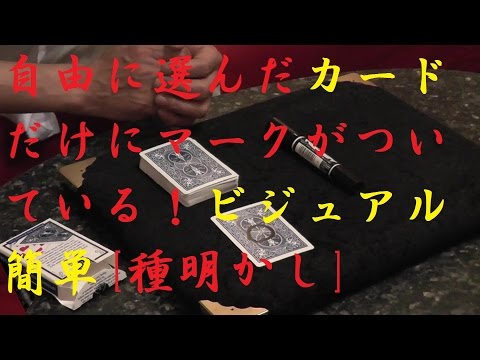 ミスティックアイ　トランプ hq720.jpg?sqp=-