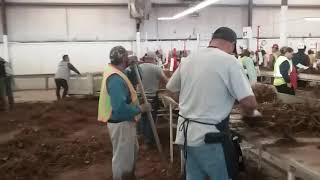 Lassen canyon nursery redding ca, septiembre el año 2017, río metates