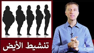 قواعد تنشيط الأيض و تسريع حرق الدهون