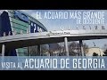 REVIEW: Sobre mi visita al acuario de Georgia (El acuario más grande del hemisferio occidental)