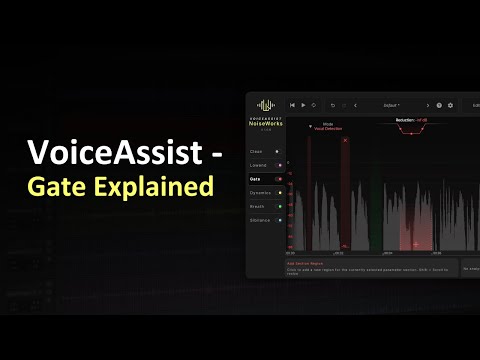 VoiceAssist Gate Explained 
