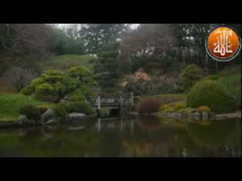 اجمل نغمات مع اصوات الطيور و الطبيعة نغمة موبايل Mp3 YouTube