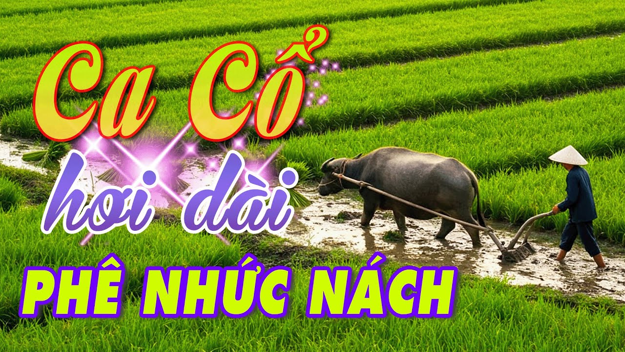 Phê Nhức Nách Ca Cổ Hơi Dài Ngủ Tới Sáng🎶Ca Vọng Cổ Hơi Dài Dễ Ngủ🎶Ca Cổ Hơi Dài 1000 Chữ Dễ Ngủ