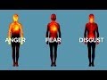 Science Bulletins Mapping Emotions In The Body 