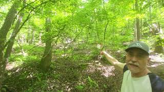 Exng The Potential Destruction Of The Yahoola Mountain Bike Project, And A Proposed Solution.