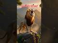 जंगल में शेर की दहाड़ 🦁😡! Jangal Me Sher Ki Dahad #shorts #viral #ai #lion
