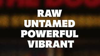 Slaughter And The Dogs - The Studio Sessions Trailer