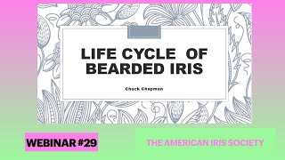 Webinar 29 "The Life Cycle of Bearded Iris" by Chuck Chapman