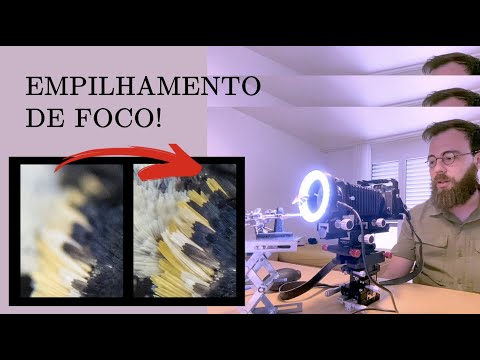 Micro 101: empilhamento de foco com Zerene Stacker para fotos microscópicas!