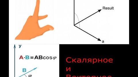 Математика в программировании Скалярное и Векторное произведение