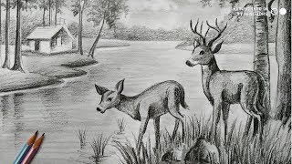 how to draw deer with pencil sketch scenery,how to draw forest scenery,step by step,animals drawing