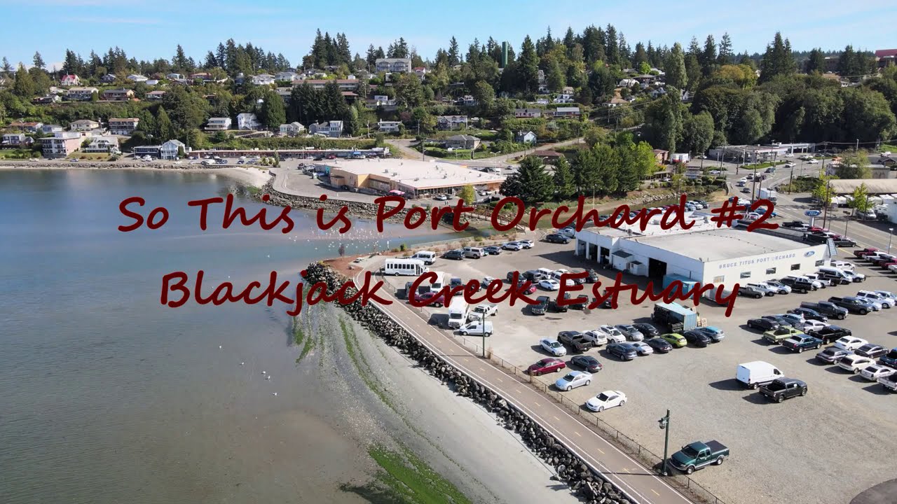 (2) So This is Port Orchard Blackjack Creek Estuary YouTube