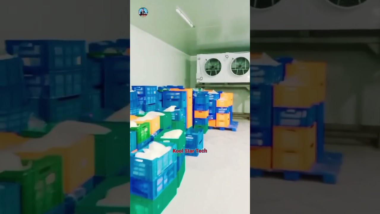 Blast Freezer Room . 