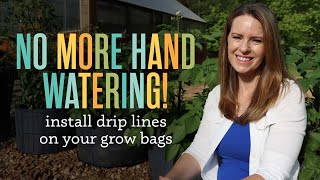 Set Your Grow Bag Irrigation on Autopilot with Drip Lines by Doing This
