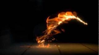 Your Fired.... Blender Flame Test