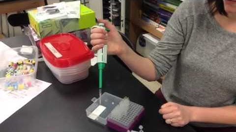 Using a Micropipette quick tutorial