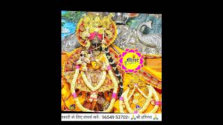 #radhavallabh #ghansyam #hit #harivansh #radhakrishna #vrindavan #viral #shorts