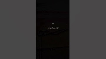 تلاوة خاشعة من سورة الحشر القارئ اسلام صبحي #اكسبلور #اسلام_صبحي #قرآن