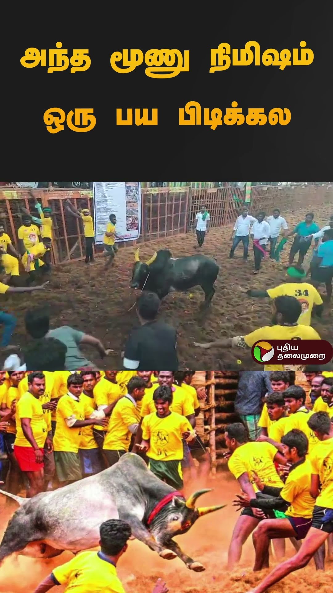 அந்த மூணு நிமிஷம் ஒரு பய பிடிக்கல | #jallikattu2025 | #madurai | #shorts