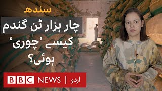 Wheat Smuggling: Story behind the 4000 Tonne of Wheat that went 'missing' in Sindh - BBC URDU