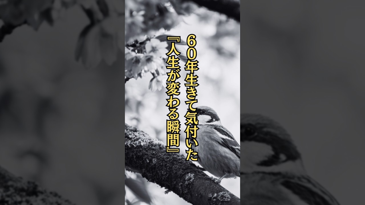 『人生が変わる瞬間』#名言 #名言集 #心に響く言葉