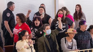 Protesters chant "Abortion Rights Now" from gallery of NC House chambers