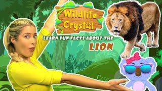 Lion Facts