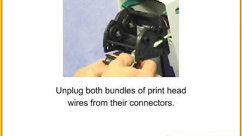 TLP 2824 Plus 0Desktop Printer Support & Downloads   Zebra