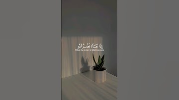 ماهر المعيقلي | #سورة_النصر #قرآن #القرآن_الكريم #قران_كريم #quran