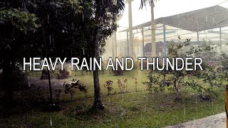ASMR  Heavy Rain And Thunder Storm for relaxing and better sleep  #relaxing #rainsounds #satisfying
