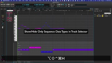 Digital Performer - Managing the Continuous Data Grid Ruler