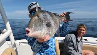 Best Tasting Fish in the Gulf of Mexico! TRIGGERFISH CATCH CLEAN COOK - Robinson Island to OSO