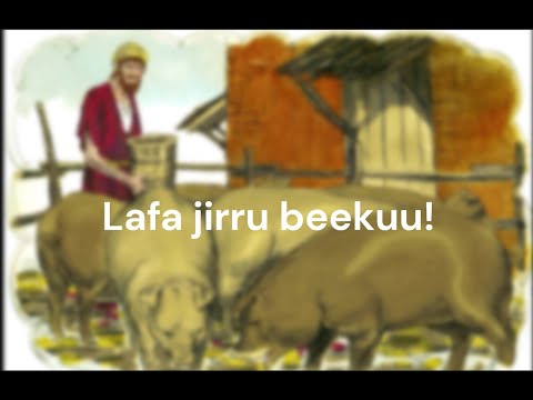 Lafa Jirru Beekuu