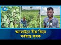 ঘোড়াঘাটে অনলাইনে বেগুনের বীজ কিনে প্রতারণার শিকার কৃষকরা | Dinajpur Farmers | Rtv News