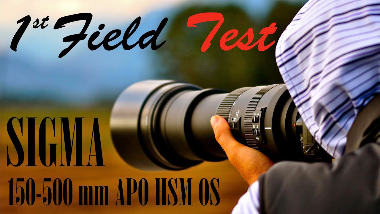 Sigma 150500 mm APO HSM OS video photo field test YouTube