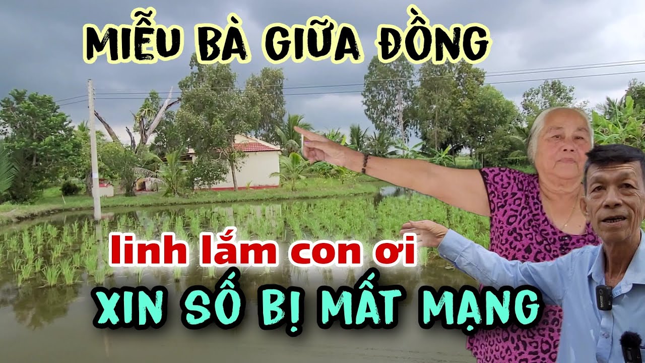 Nghe sởn da gà Người đàn ông xin số bị mất mạng ở Miễu Bà Chúa Xứ linh thiêng giữa đồng